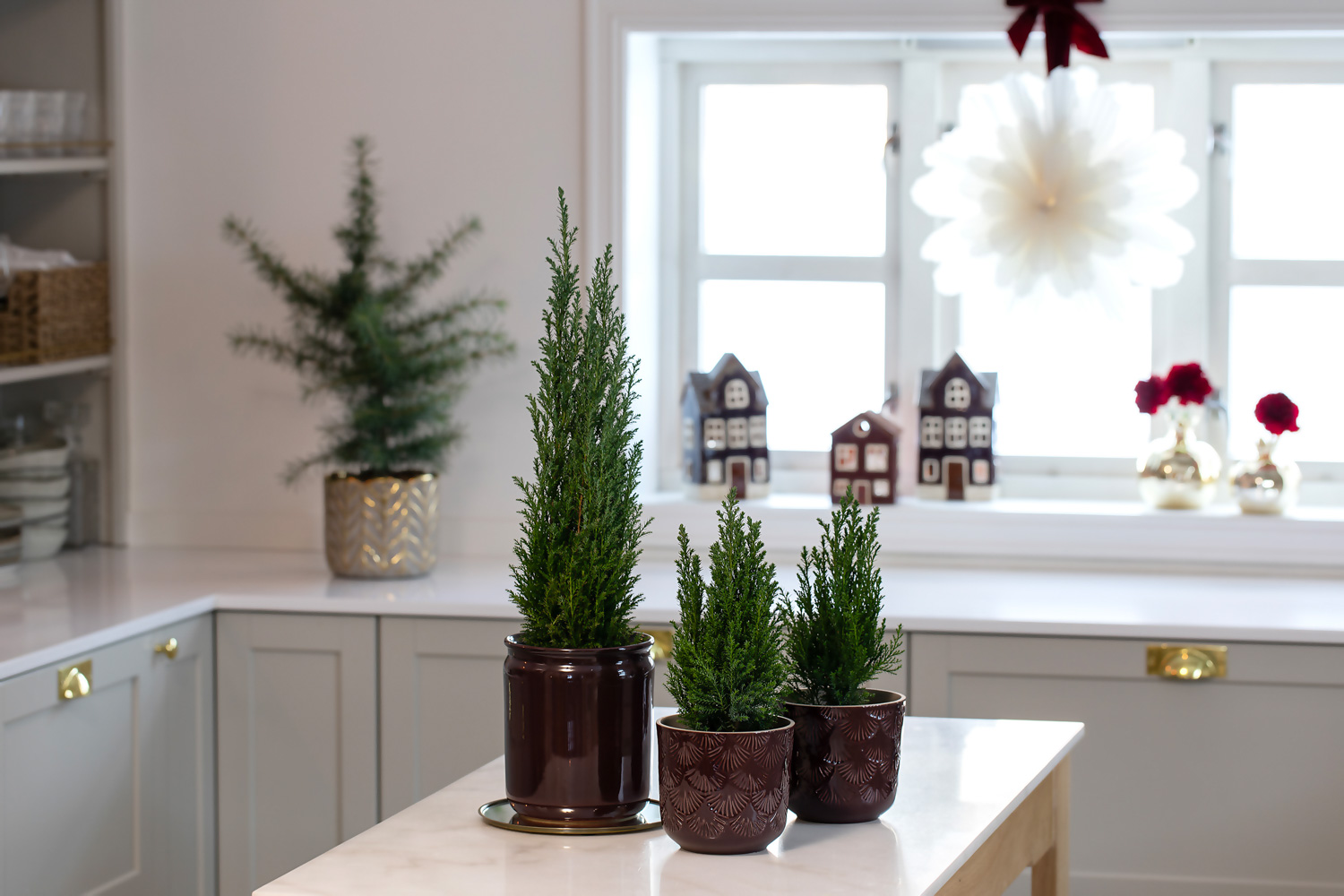 Vintergrønt til jul
